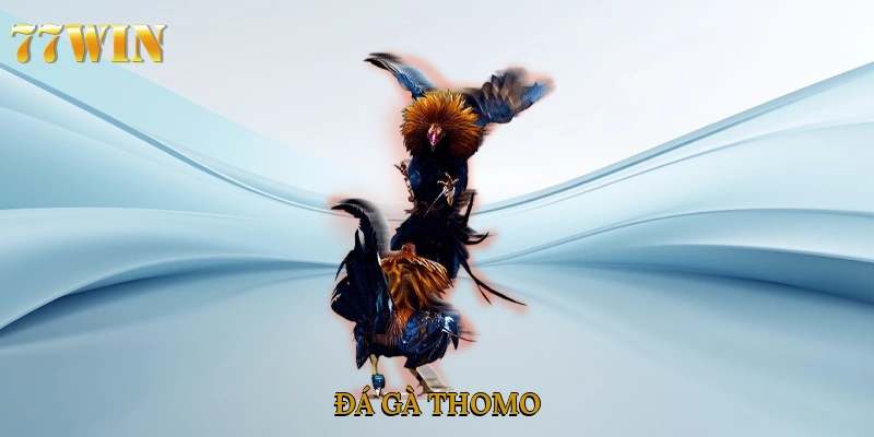 Đá Gà Thomo