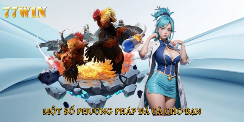 Một số phương pháp đá gà cho bạn