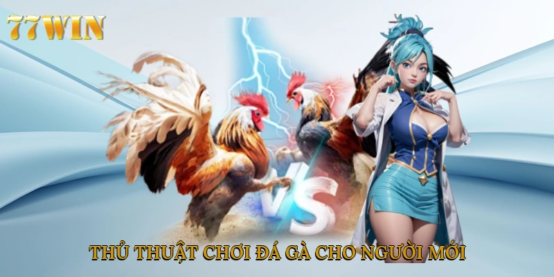 Thủ thuật chơi đá gà cho người mới
